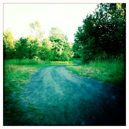 driveway in question